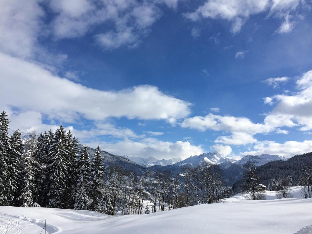 Апартаменти Martlerhof Aschau Im Zillertal Екстер'єр фото