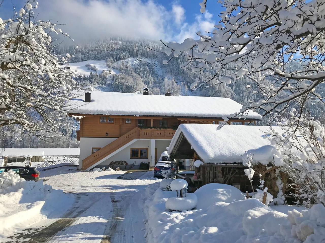 Апартаменти Martlerhof Aschau Im Zillertal Екстер'єр фото